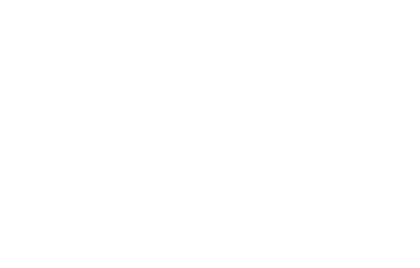 Aircraft silhouettes