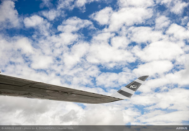 ACJ TwoTwenty - Wing tip ACJ TwoTwenty - Wing tip