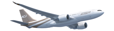Rendering ACJ330neo in flight view