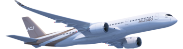 Rendering ACJ350 in flight view