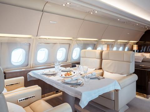 ACJ319 OE-ICE interior