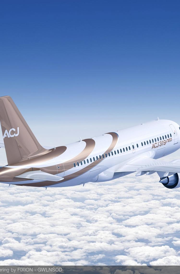 ACJ319neo.jpg