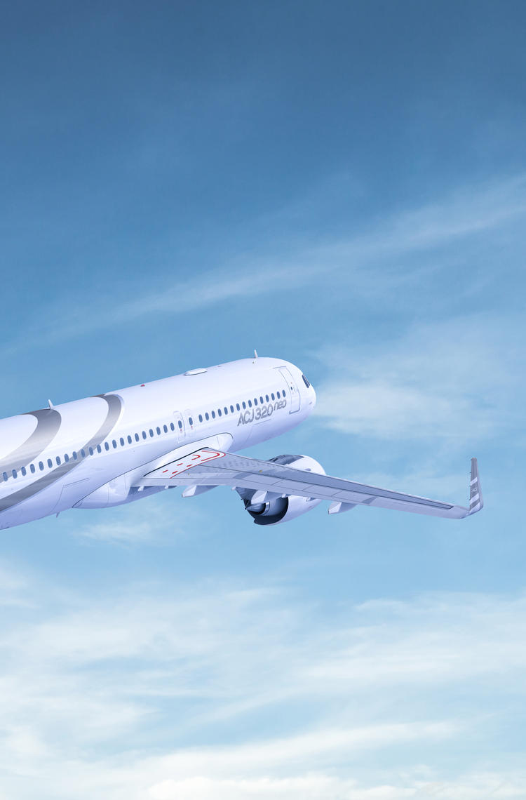 ACJ320neo Titanium 